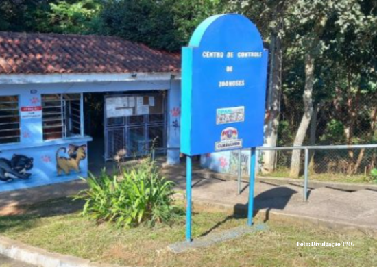 Prefeitura alerta para os sintomas do vírus H5N1 em aves domésticas e silvestres