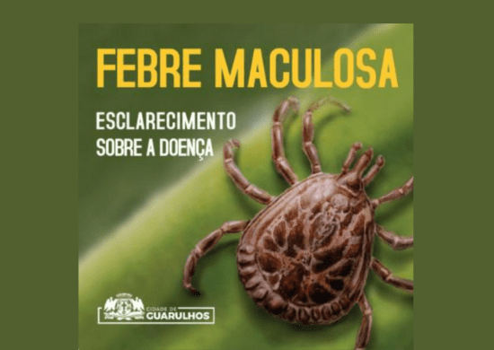 Prefeitura monitora a febre maculosa e esclarece que não há casos da doença em Guarulhos
