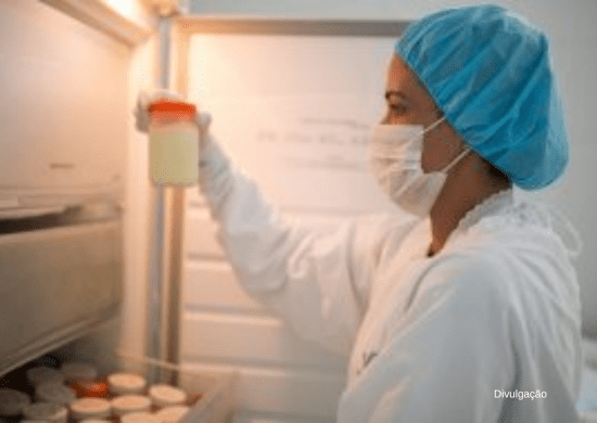 Governo de SP distribuirá 55 milhões de litros de leite em 2023 para combater anemia