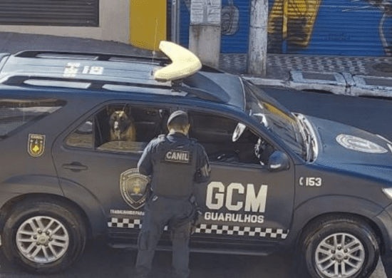 GCM prende homem por furto em residência na Vila Galvão