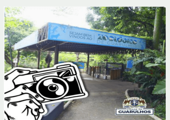Votação no concurso de fotos dos animais do Zoológico de Guarulhos segue até o dia 14 no Instagram