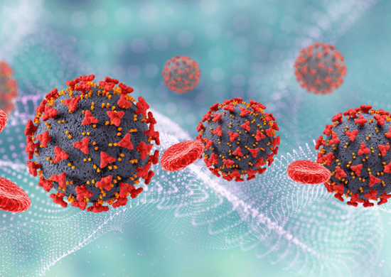 Covid pode disparar anticorpos que causam trombose e complicações, diz estudo de SP
