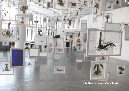 Bienal de São Paulo abre hoje com Coreografias do Impossível