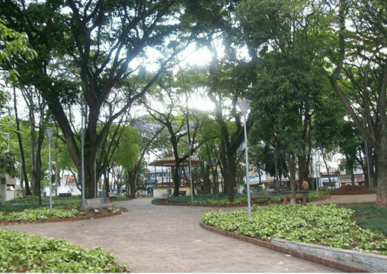 Universidade Guarulhos promove ação no Dia Mundial da Limpeza