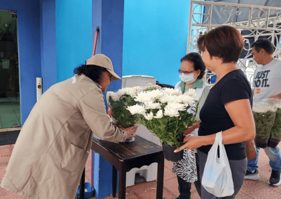 Prefeitura realiza ação de combate ao mosquito transmissor da dengue em cemitérios