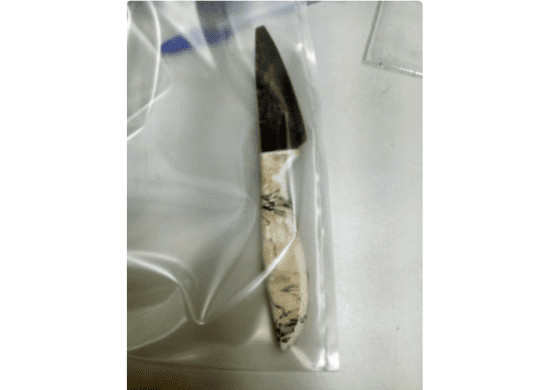 GCM prende homem suspeito de crime de ameaça no Mato das Cobras