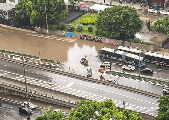 Homem morre após ser atingido por queda de árvore durante temporal
