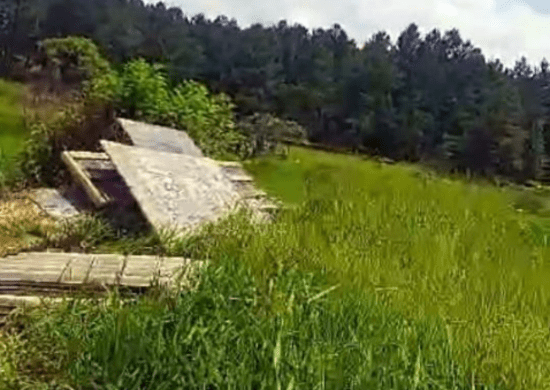 GCM impede ocupação irregular de área de mata nativa no Jardim Palmira