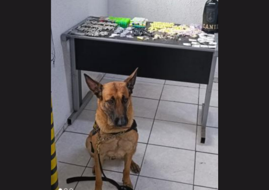 GCM prende homem por tráfico de entorpecentes no Jardim Okuyama