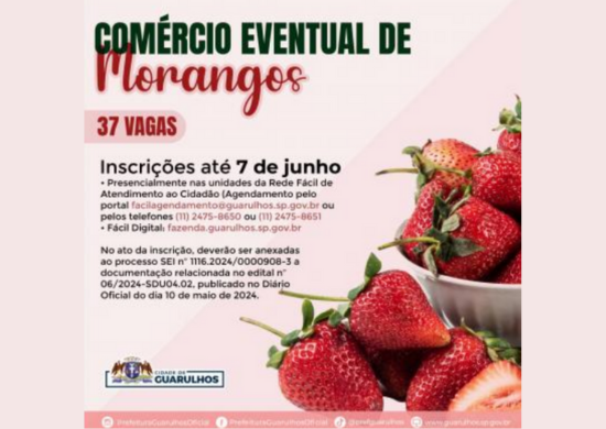 Prefeitura abre inscrições para 37 vagas de comércio eventual de morangos