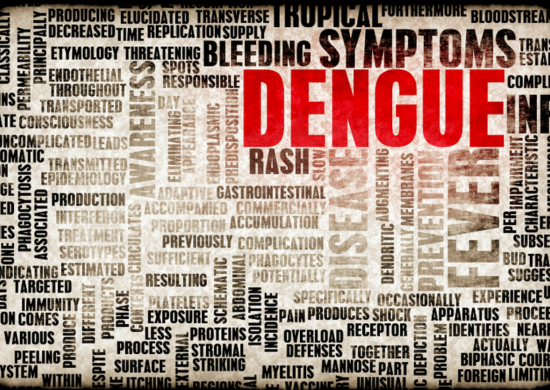 EPIDEMIA: Brasil ultrapassa 5 milhões de casos prováveis de dengue