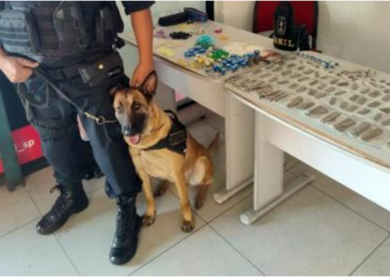 GCM prende dois homens por tráfico de entorpecentes no Parque Residencial Bambi