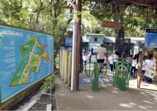 Zoológico Municipal recebe inscrições para oficina sobre paleontologia