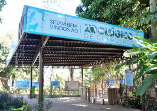 Zoológico promove atividade de educação ambiental sobre serpentes brasileiras