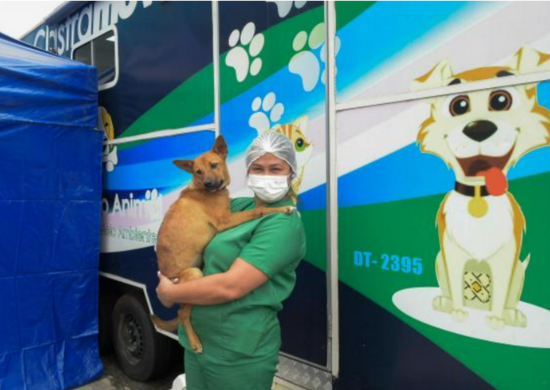 Prefeitura abre inscrições para mil vagas de castração gratuita de cães e gatos