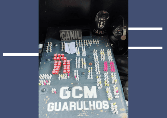 GCM aprende entorpecentes embalados para o tráfico no Jardim Bom Clima