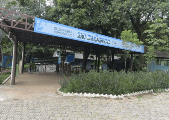 Zoológico promove trilhas educativas sobre mudanças climáticas