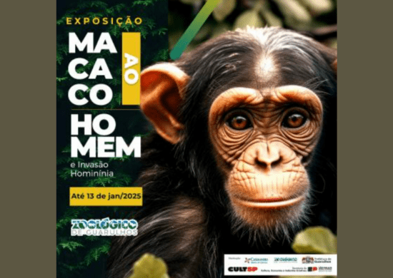 Exposição sobre a evolução humana é opção para as férias no Zoo de Guarulhos