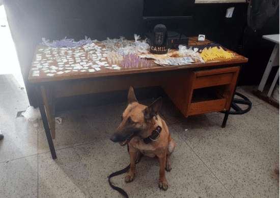 Guarda Civil Municipal de Guarulhos prende traficante com grande quantidade de entorpecentes no Jardim Albertina