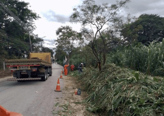 Prefeitura realiza roçagem do mato e remoção de resíduos na avenida Orlanda Bergamo