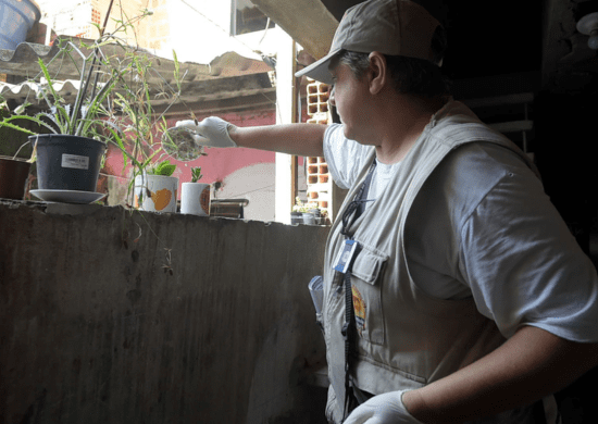 Bairros de Guarulhos recebem ações intensivas contra o mosquito da dengue