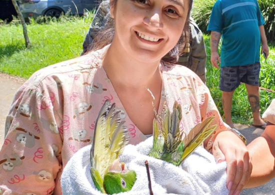 GCM e Corpo de Bombeiros resgatam ave silvestre presa por linha de pipa