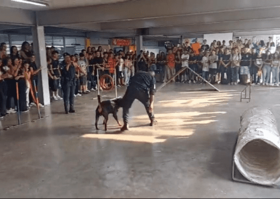 Canil da GCM promove atividades interativas com alunos de escola estadual no Cabuçu