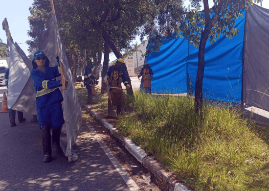 Prefeitura promove zeladoria na avenida Carmela Dutra