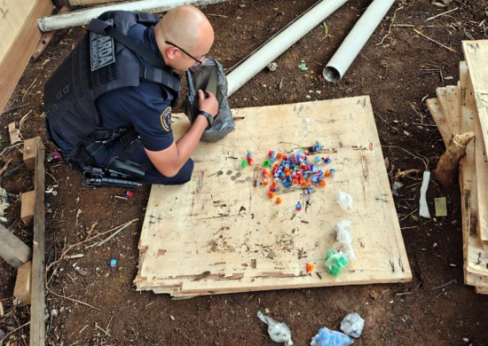 GCM prende homem por tráfico de entorpecentes no Jardim Vermelhão