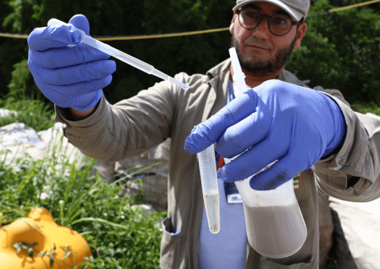 Prefeitura divulga balanço semanal de ações contra o Aedes aegypti
