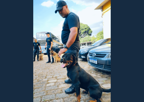 Canil da GCM recebe curso de formação de cães policiais para detecção e intervenção