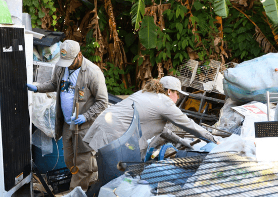 Ações contra o Aedes aegypti seguem em ritmo intenso e alcançam 52 bairros