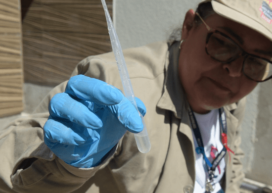 Trabalho contínuo de combate à dengue atende 36 bairros em Guarulhos