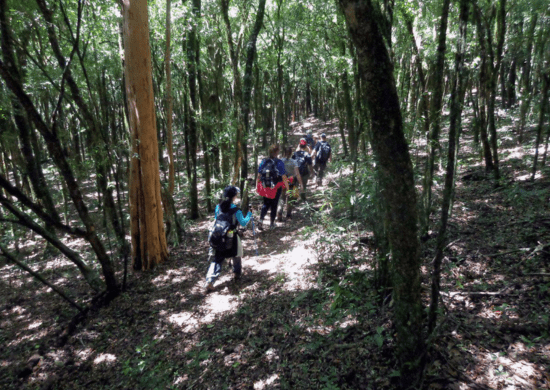 Trilhas das Práticas Sustentáveis apresenta as estações ecológicas do Bosque Maia
