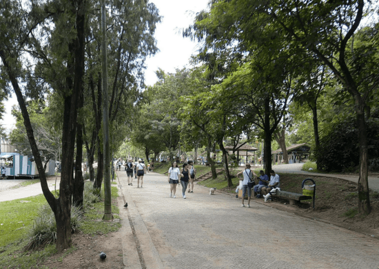 Cidadania Ativa leva serviços e cultura ao Bosque Maia no Dia do Trabalho