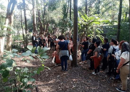 Bosque Maia promove atividades sobre abelhas, orquídeas e sustentabilidade em abril