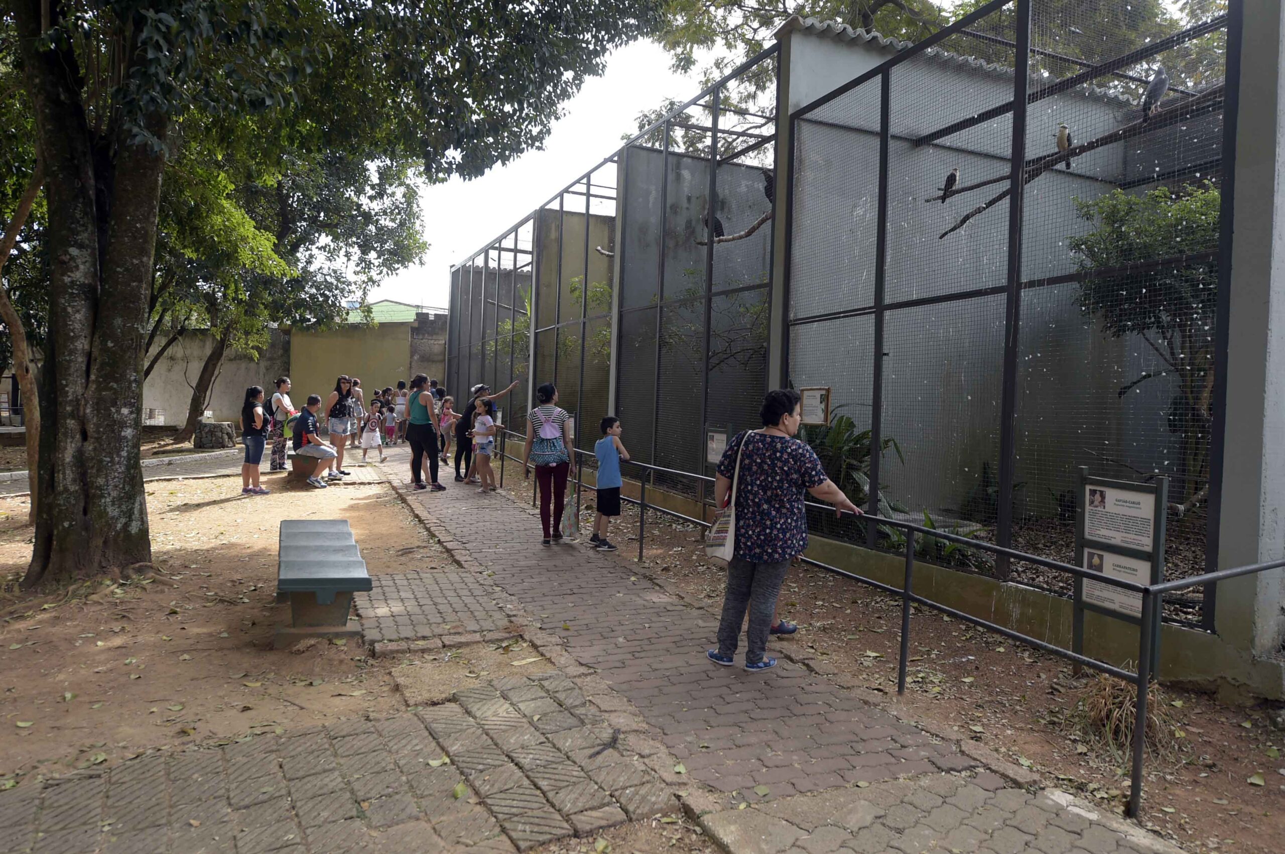 Zoológico celebra Mês do Autismo com nova edição do Jardim Sensorial nesta quinta-feira