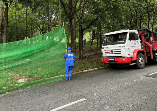 Prefeitura realiza mutirão de zeladoria em avenida do Parque Continental