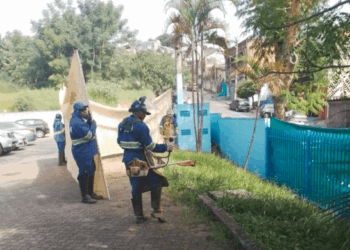 Parque Jurema, Jardim Albertina, Vila Alzira e Parque Uirapuru recebem mutirão de zeladoria