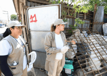 Combate ao Aedes aegypti segue firme em 52 bairros de Guarulhos na última semana