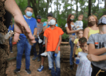 Zoológico realiza últimas edições da trilha das abelhas nesta semana