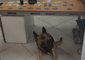 GCM prende dois traficantes com quase 700 porções de drogas no fim de semana