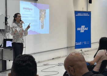 Parceria entre Prefeitura e Sebrae-SP fortalece moda autoral e empreendedorismo criativo