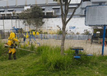 Prefeitura leva mutirão de zeladoria ao Parque Vila Flora