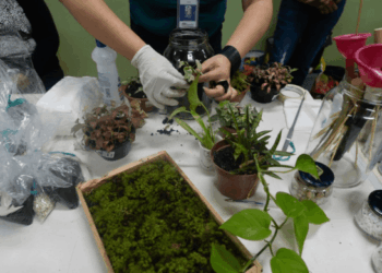 Shopping Bonsucesso celebra a magia do circo em programação especial para as férias