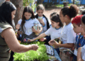 Festival Dias Verdes promove ações sustentáveis e práticas educativas em junho