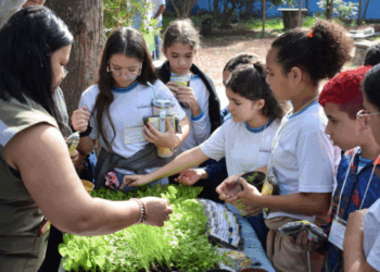 Festival Dias Verdes promove ações sustentáveis e práticas educativas em junho