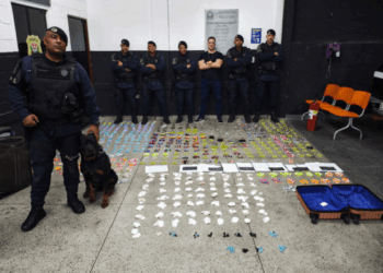 GCM apreende quase 6 mil embalagens com drogas na Vila Alzira