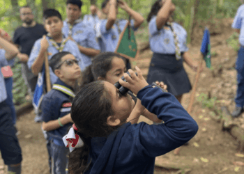 Parque Chico Mendes recebe escoteiros para plantio de árvores e observação de aves