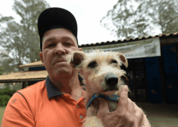Prefeitura realiza mais 120 castrações gratuitas de cachorros nesta terça-feira